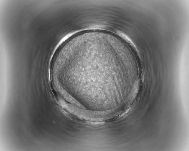 X0000084531324200703161559