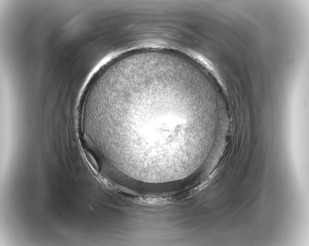 X0000084531326200703161600