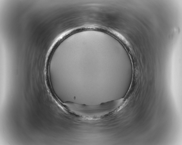 X0000084531327200703161600