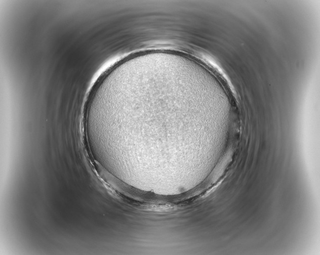 X0000084531328200703161600