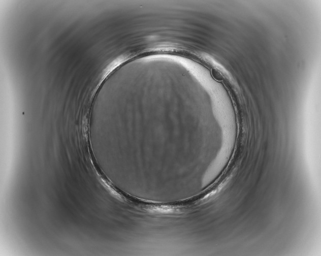 X0000084531329200703161600