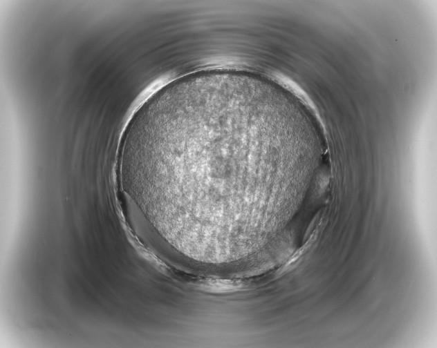 X0000084531330200703161600