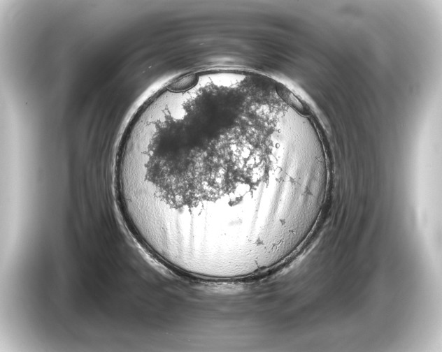 X0000084531333200703161600