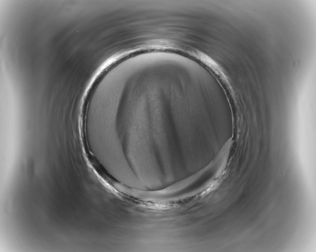 X0000084531334200703161600