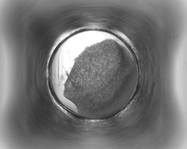 X0000084531335200703161600