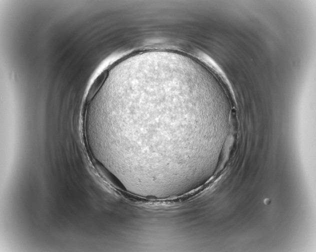 X0000084531336200703161600