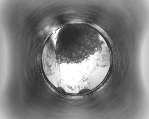 X0000084531337200703161600