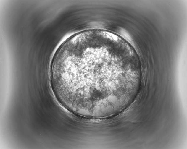 X0000084531339200703161600