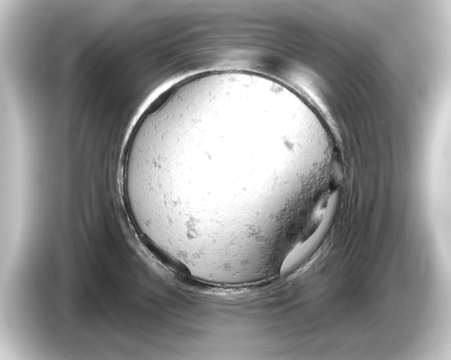 X0000084531340200703161600