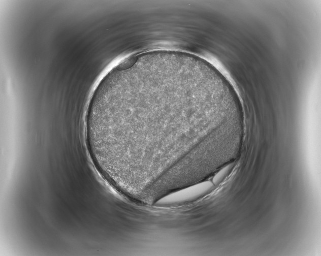 X0000084531341200703161600