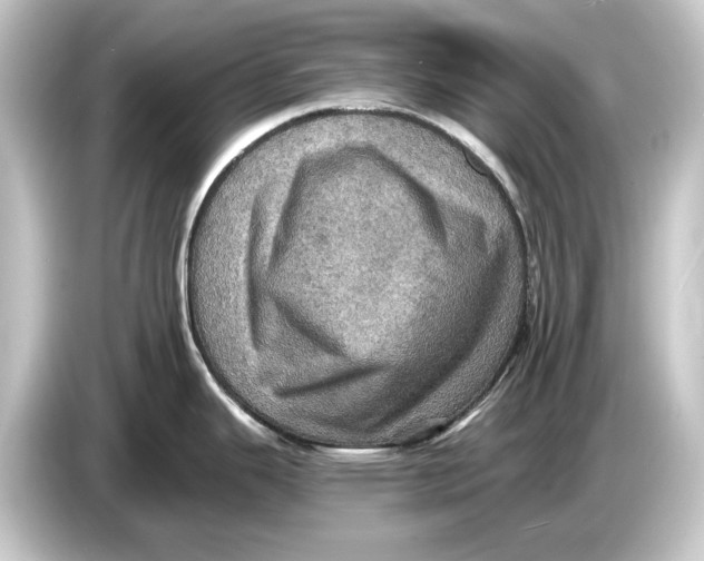 X0000084531343200703161600