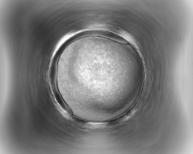 X0000084531344200703161600