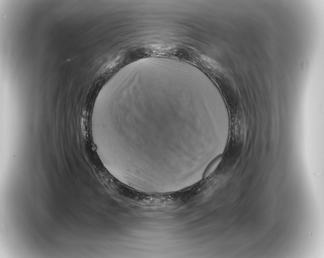 X0000084531346200703161559