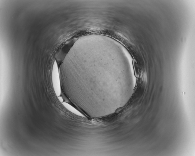 X0000084531348200703161559