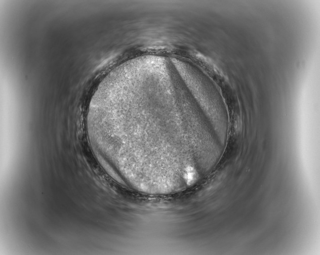 X0000084531350200703161559