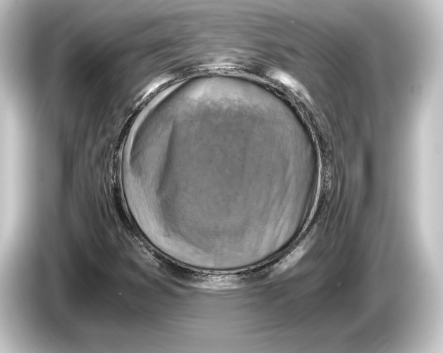 X0000084531353200703161559