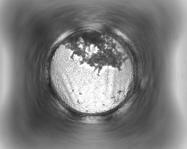 X0000084531354200703161559