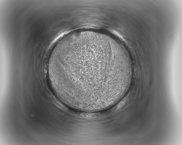 X0000084531355200703161559