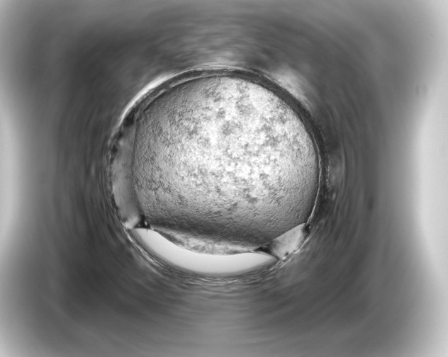 X0000084531356200703161559