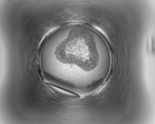 X0000084531357200703161559