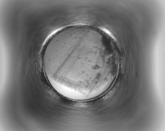 X0000084531358200703161559