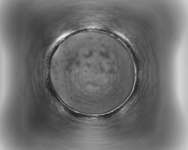 X0000084531359200703161559