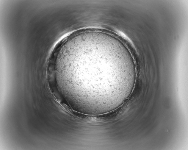 X0000084531360200703161559