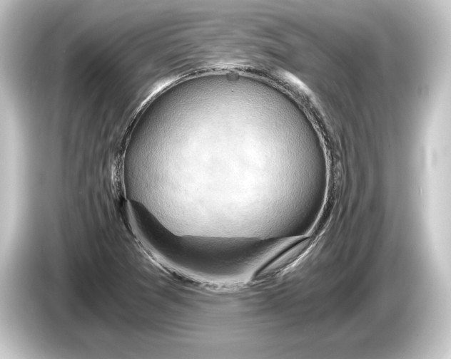 X0000084531361200703161559