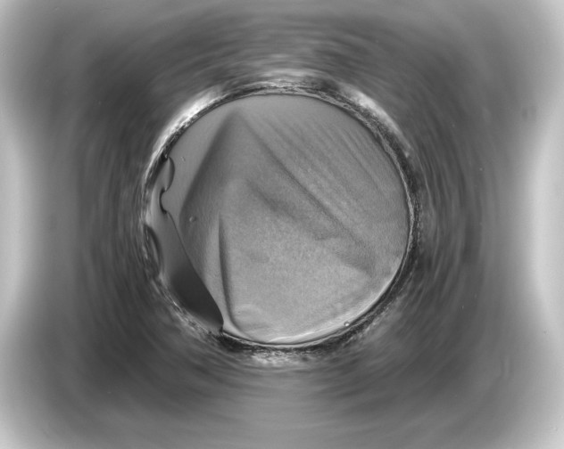 X0000084531362200703161559