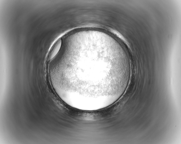 X0000084531364200703161559