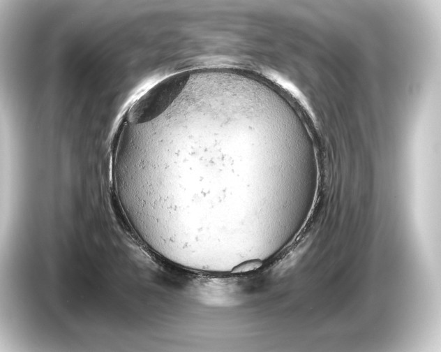 X0000084531365200703161559