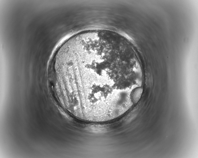 X0000084531366200703161559