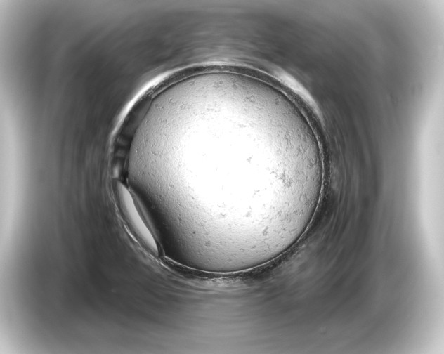 X0000084531368200703161559