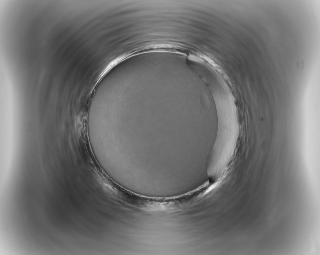 X0000084531369200703161559