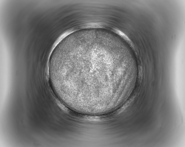 X0000084531370200703161559