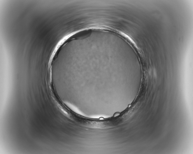 X0000084531371200703161559