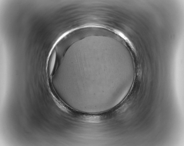 X0000084531372200703161559