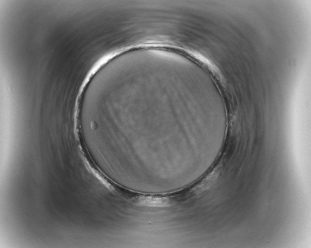 X0000084531374200703161559