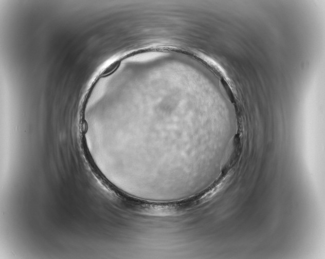 X0000084531375200703161559