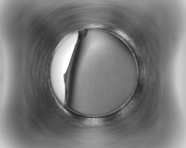 X0000084531377200703161559