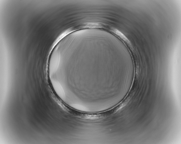 X0000084531378200703161559