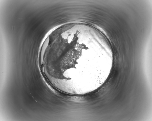 X0000084531379200703161559