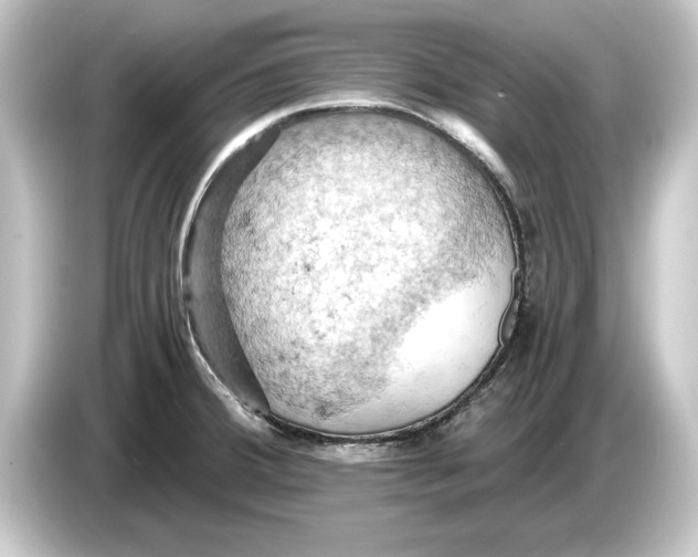 X0000084531380200703161559