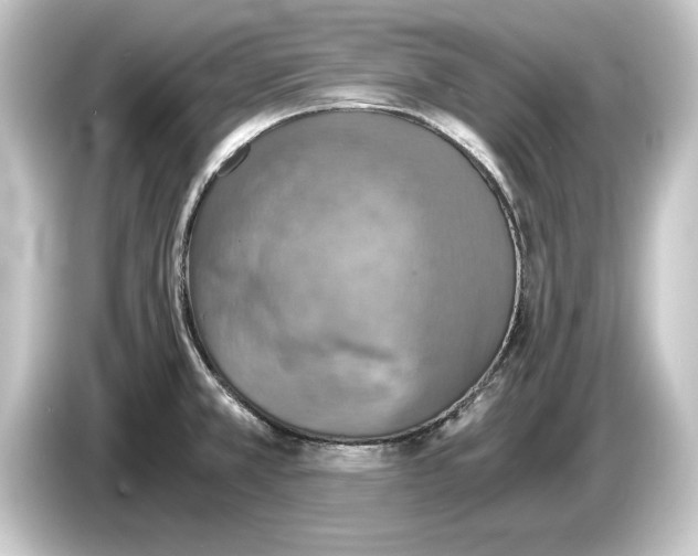 X0000084531381200703161559