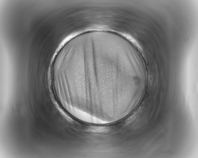 X0000084531382200703161559