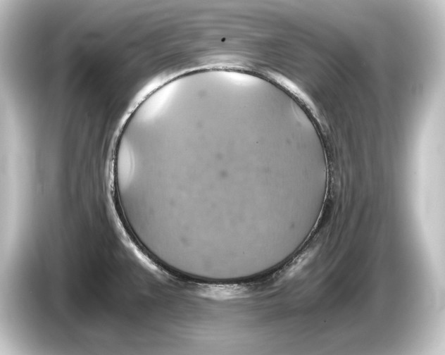 X0000084531383200703161559