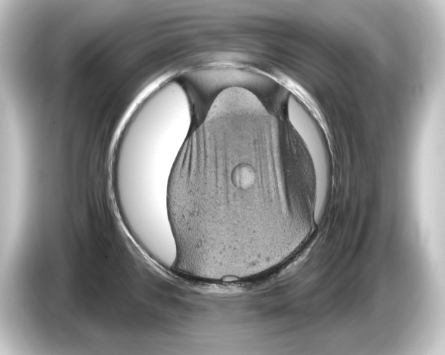 X0000084531384200703161559