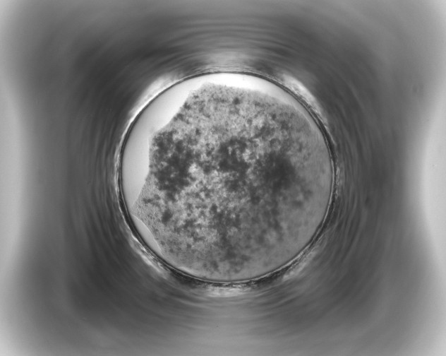 X0000084531386200703161559