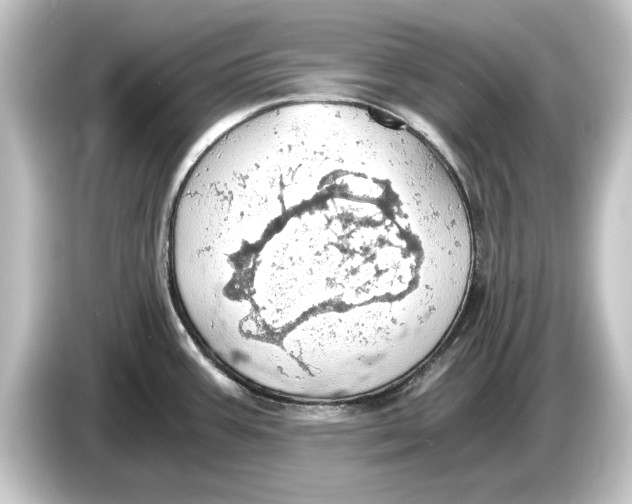 X0000084531387200703161558