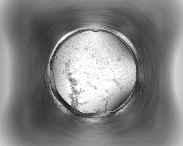 X0000084531388200703161558